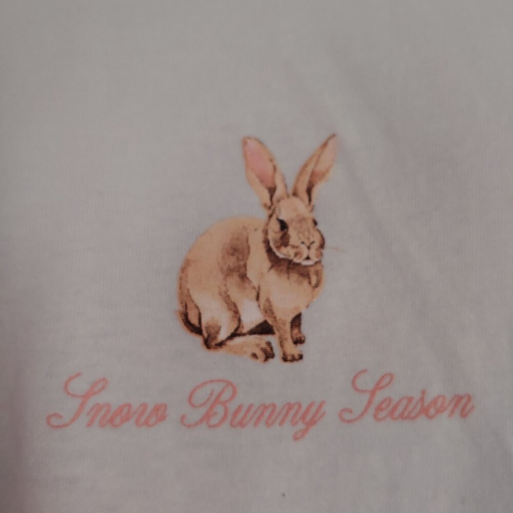 Snow Bunny Season Ice Blue Soft Girl Coquette Balletcore Twee Sweetheart L